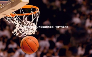 星空体育-杨瀚森机会骤变，昨日生涯新高出场，今日半场遭冷藏